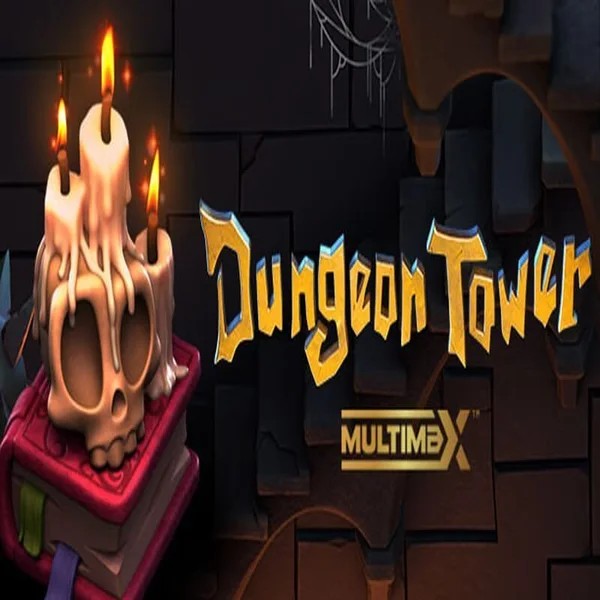 Play Dungeon Tower slot by Peter & Sons on broidicasinos.com